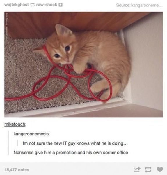 daily picdump 98 pics 45.html - 98 HD Photos | Premium Gallery 2014