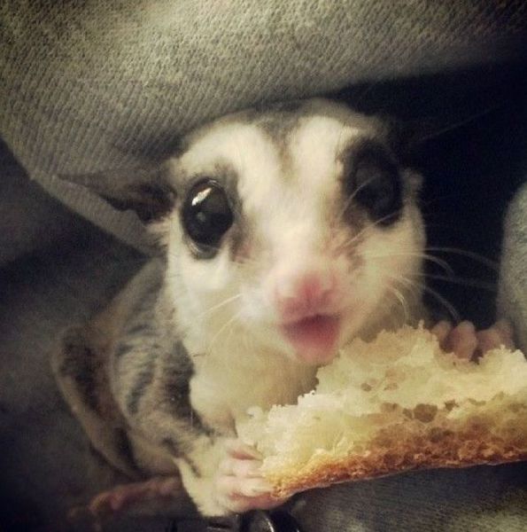 Morning Picdump