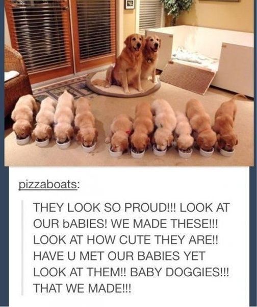 Morning Picdump