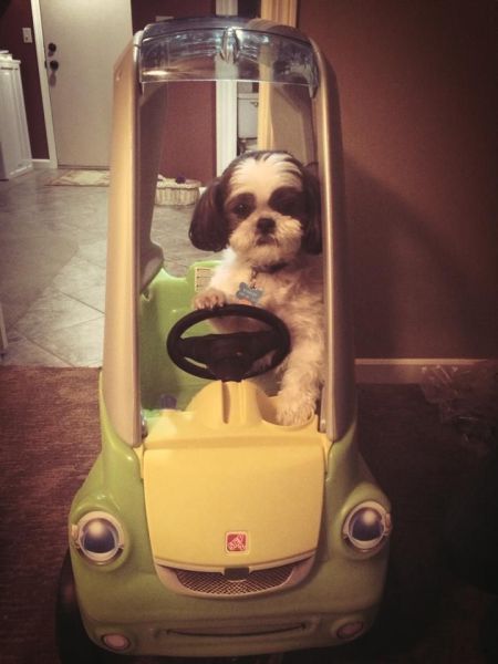 Morning Picdump