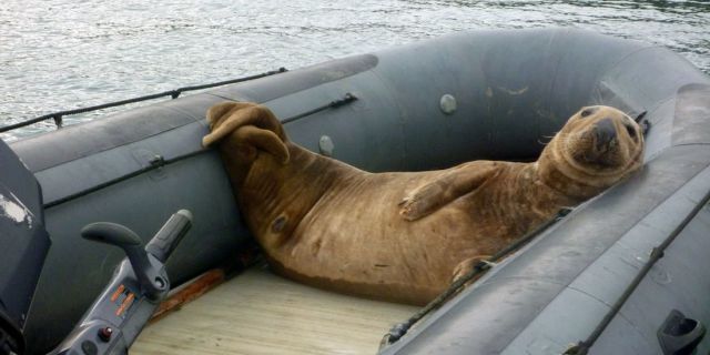 morning picdump 50 pics 2.html - 50 HD Photos | Premium Gallery 2014