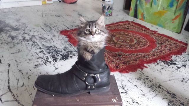 morning picdump 50 pics 2.html - 50 HD Photos | Premium Gallery 2014