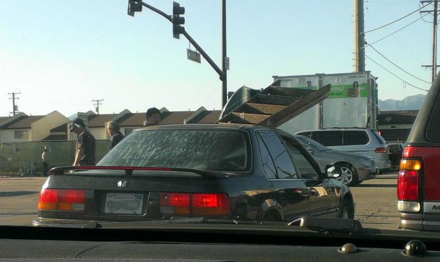 morning picdump 50 pics 2.html - 50 HD Photos | Premium Gallery 2014