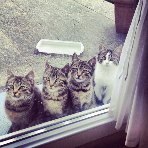 morning picdump 50 pics 2.html - 50 HD Photos | Premium Gallery 2014