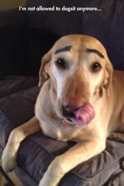 morning picdump 50 pics 2.html - 50 HD Photos | Premium Gallery 2014