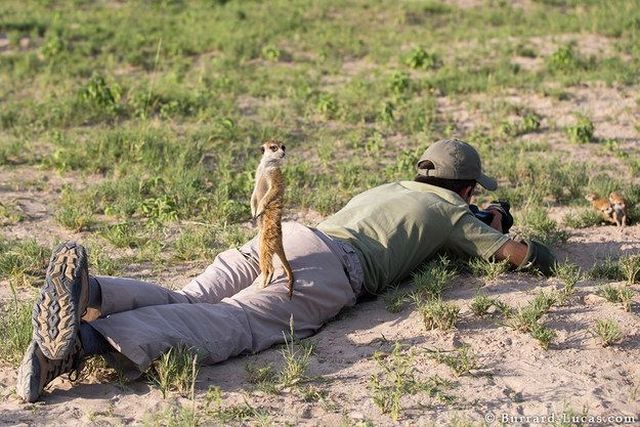 morning picdump 50 pics 2.html - 50 HD Photos | Premium Gallery 2014