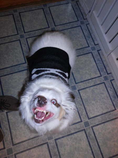 morning picdump 50 pics 2.html - 50 HD Photos | Premium Gallery 2014
