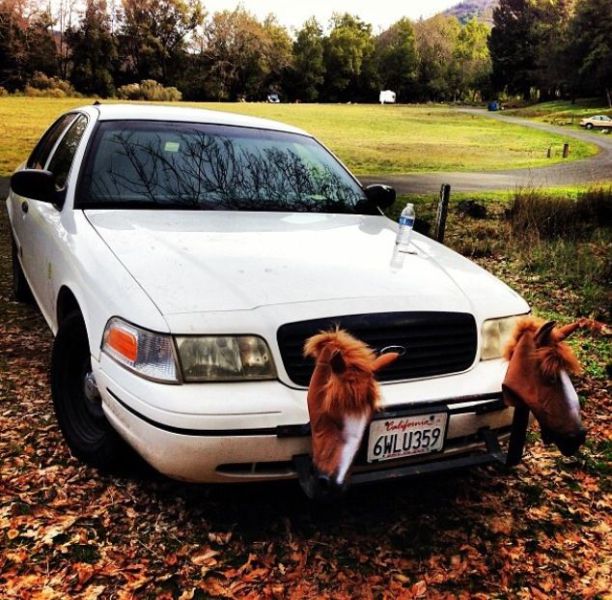 morning picdump 50 pics 2.html - 50 HD Photos | Premium Gallery 2014