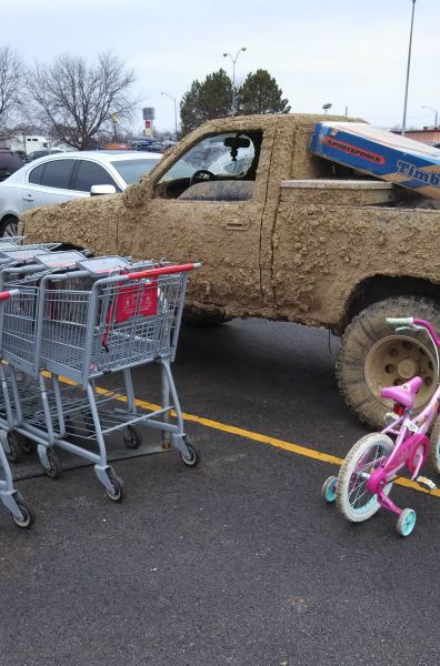 Daily Picdump