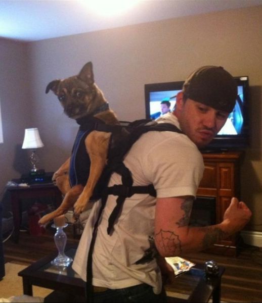 daily picdump 102 pics 16.html - 102 HD Photos | Premium Gallery 2014