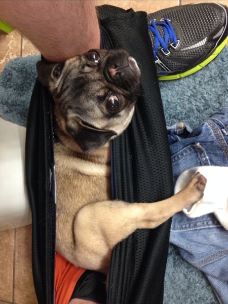 daily picdump 102 pics 16.html - 102 HD Photos | Premium Gallery 2014