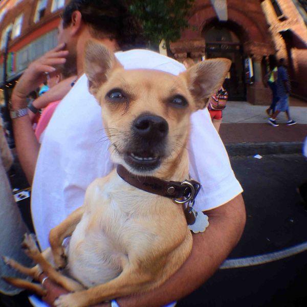 daily picdump 102 pics 16.html - 102 HD Photos | Premium Gallery 2014