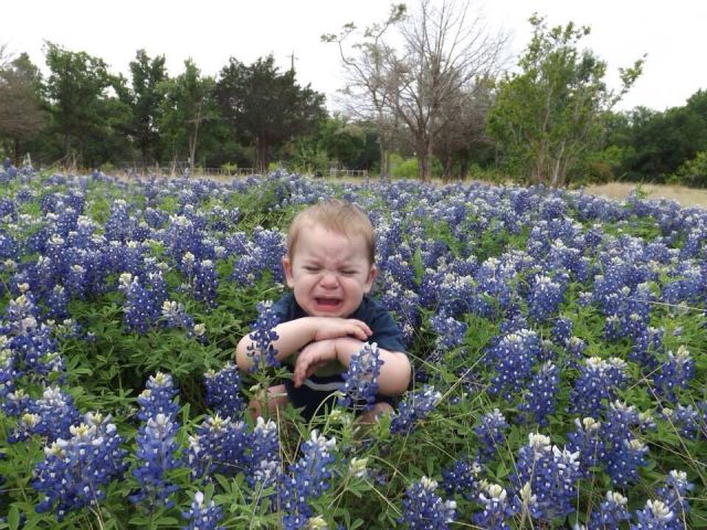 daily picdump 102 pics 16.html - 102 HD Photos | Premium Gallery 2014