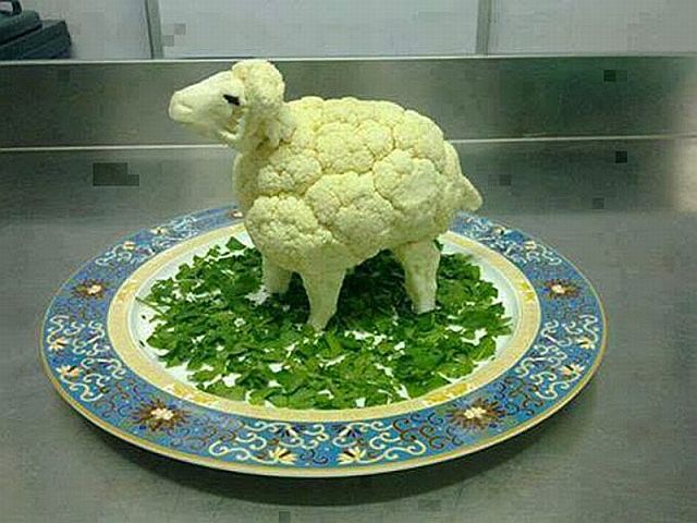 daily picdump 102 pics 16.html - 102 HD Photos | Premium Gallery 2014