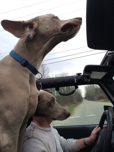daily picdump 102 pics 16.html - 102 HD Photos | Premium Gallery 2014