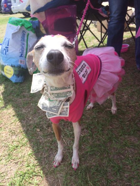 daily picdump 102 pics 16.html - 102 HD Photos | Premium Gallery 2014