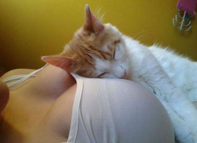 grownup corner 41 pics 10 gifs 17.html - 41 HD GIF | Premium Gallery 2014