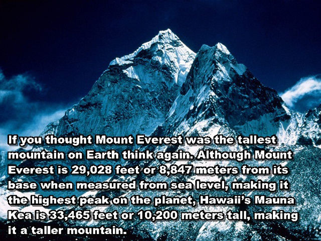 Interesting and Unusual Facts