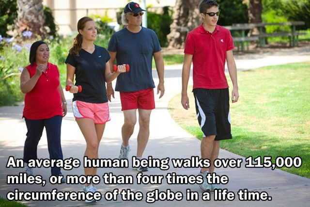 Interesting and Unusual Facts
