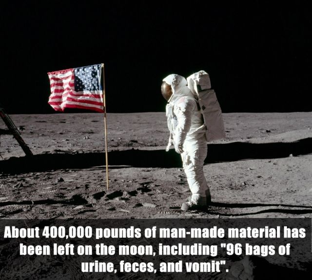 Interesting and Unusual Facts