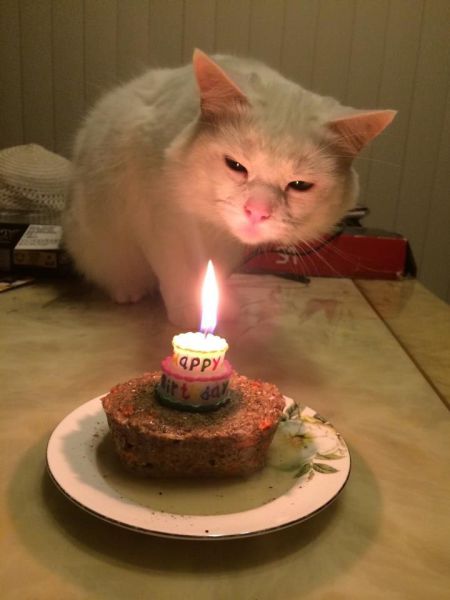 morning picdump 54 pics 7.html - 54 HD Photos | Premium Gallery 2014