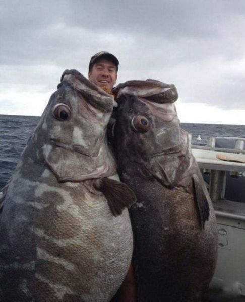 morning picdump 54 pics 7.html - 54 HD Photos | Premium Gallery 2014