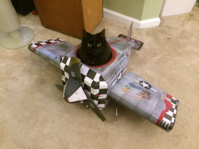 morning picdump 54 pics 7.html - 54 HD Photos | Premium Gallery 2014