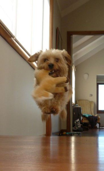 morning picdump 54 pics 7.html - 54 HD Photos | Premium Gallery 2014