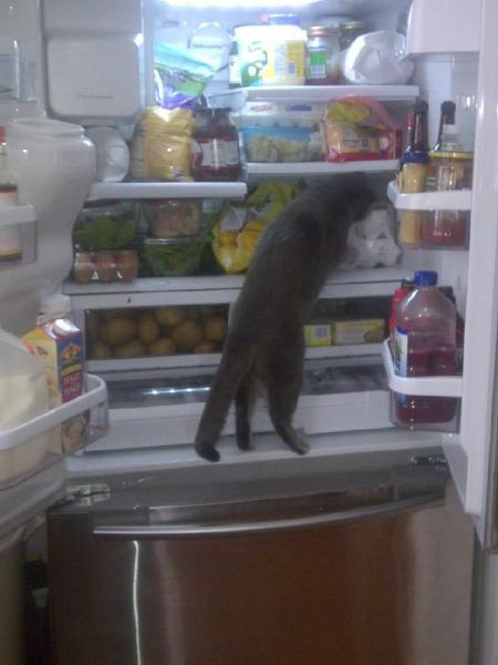 morning picdump 54 pics 7.html - 54 HD Photos | Premium Gallery 2014