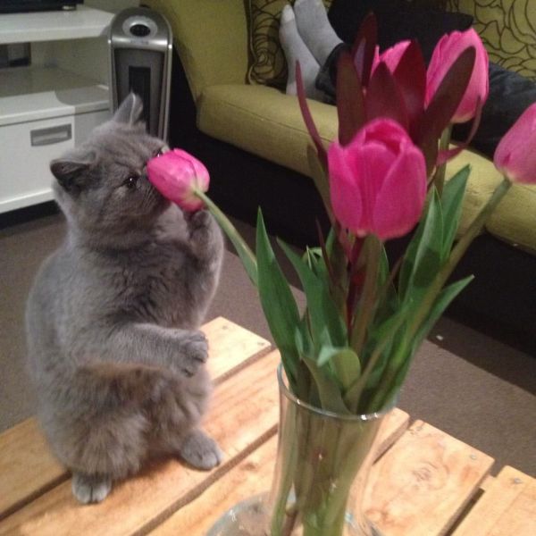 morning picdump 54 pics 7.html - 54 HD Photos | Premium Gallery 2014