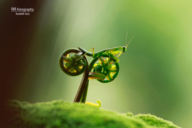 Brilliant Timing Creates Epic Photos