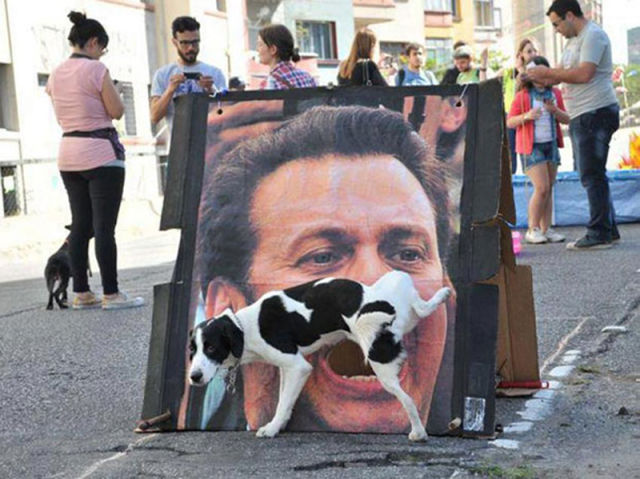 Brilliant Timing Creates Epic Photos