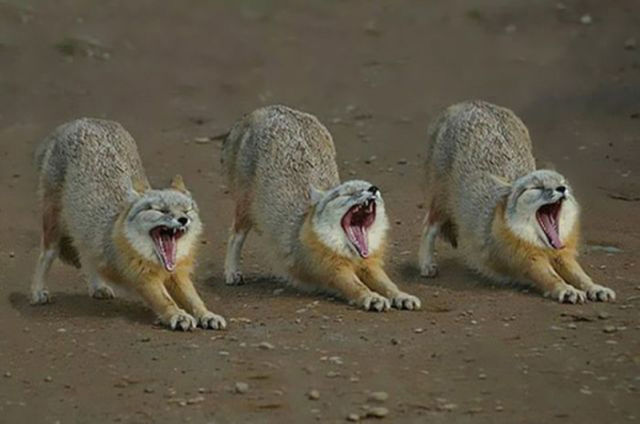 Brilliant Timing Creates Epic Photos