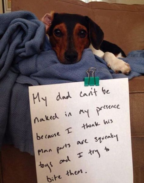 Morning Picdump