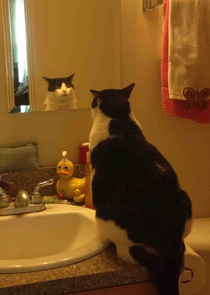morning picdump 59 pics 11.html - 59 HD Photos | Premium Gallery 2014