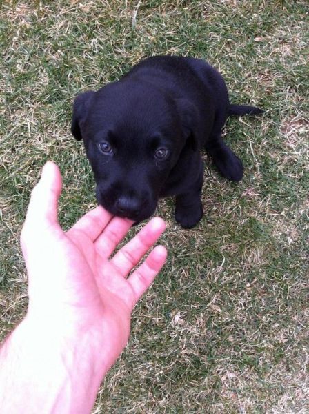 morning picdump 59 pics 11.html - 59 HD Photos | Premium Gallery 2014