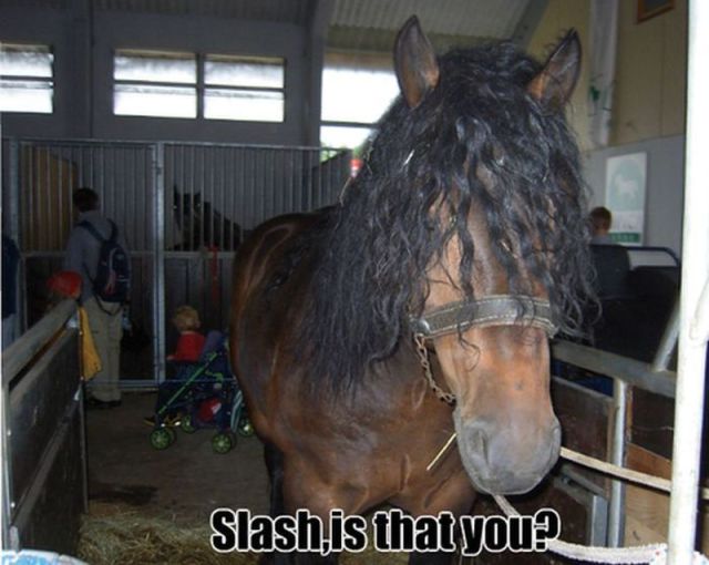 Morning Picdump