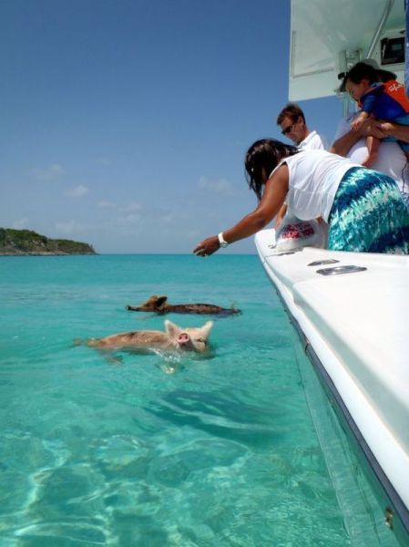 morning picdump 57 pics 13.html - 57 HD Photos | Premium Gallery 2014