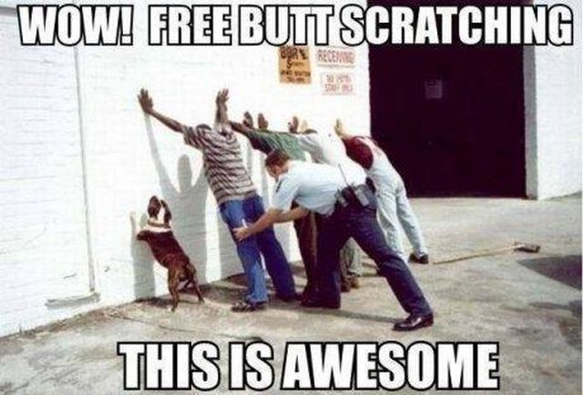 morning picdump 57 pics 13.html - 57 HD Photos | Premium Gallery 2014