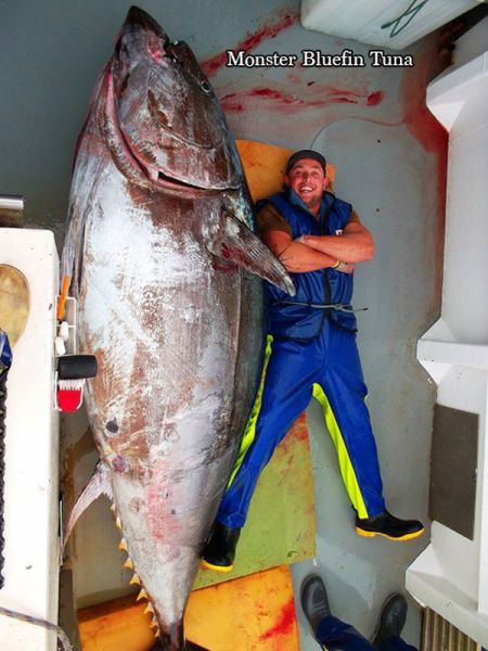 morning picdump 57 pics 13.html - 57 HD Photos | Premium Gallery 2014