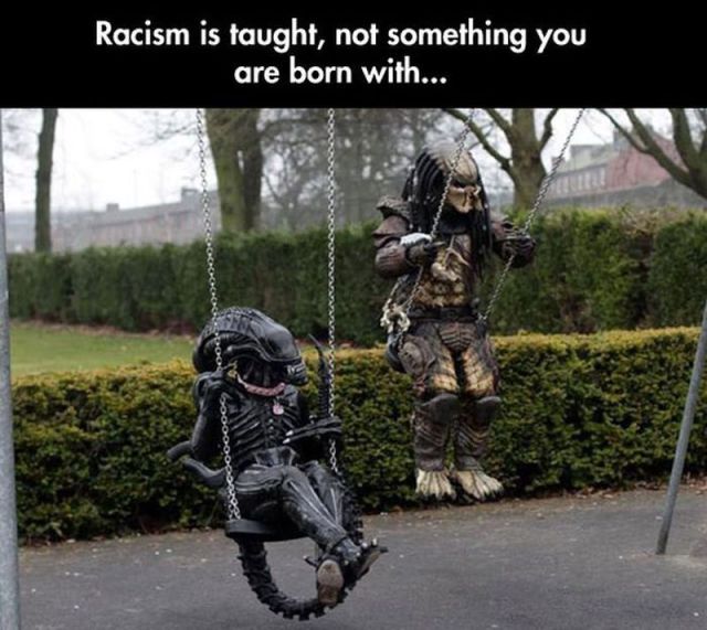 morning picdump 57 pics 13.html - 57 HD Photos | Premium Gallery 2014