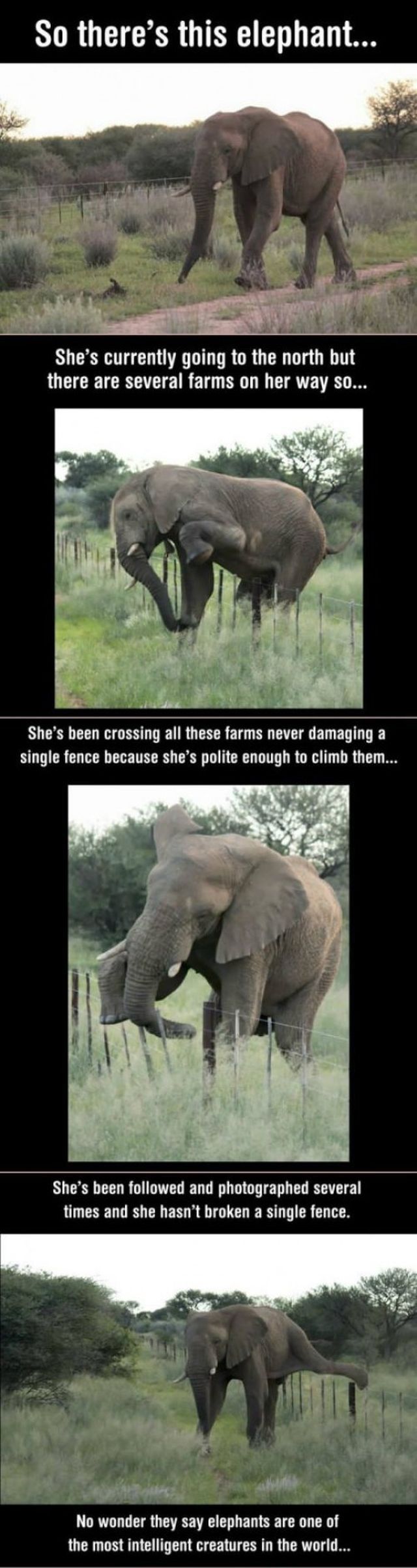 Morning Picdump