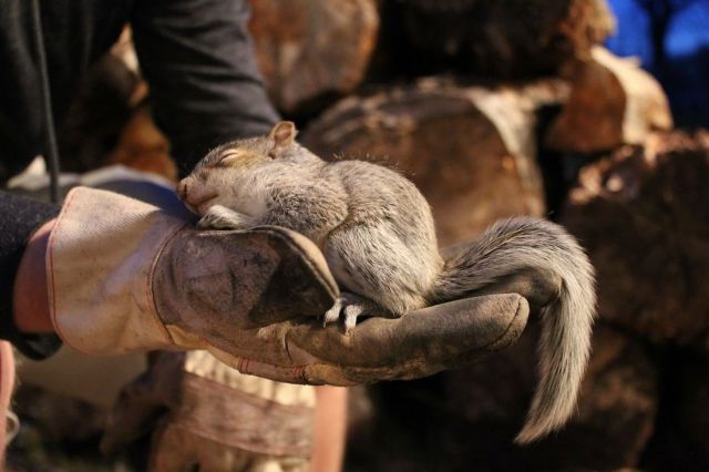 morning picdump 59 pics 17.html - 59 HD Photos | Premium Gallery 2014