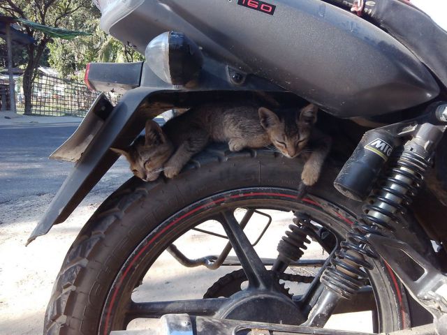 morning picdump 59 pics 17.html - 59 HD Photos | Premium Gallery 2014