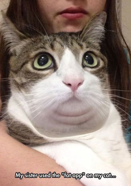 Morning Picdump