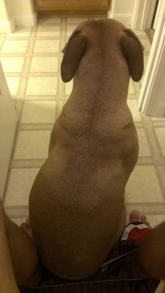 Morning Picdump