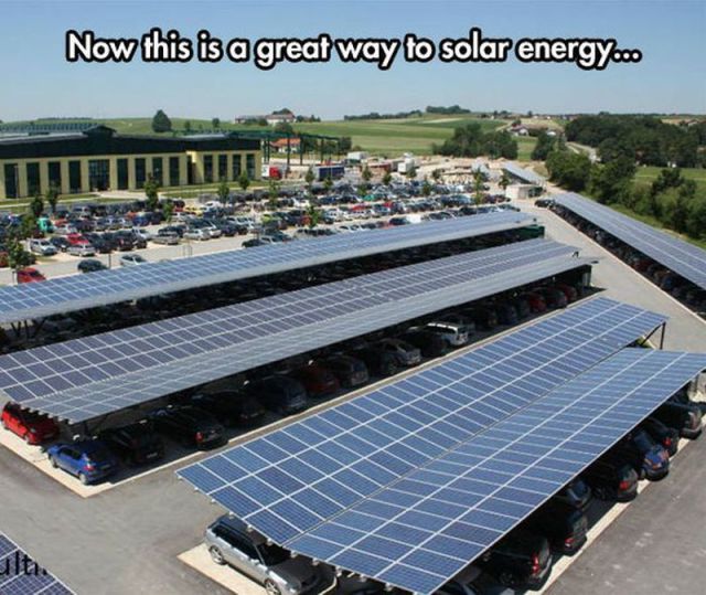 Morning Picdump