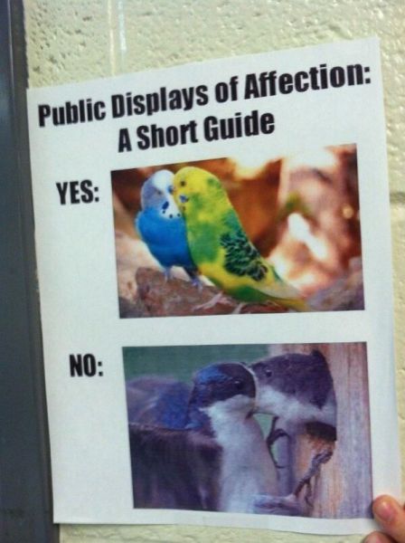 morning picdump 58 pics 5.html - 58 HD Photos | Premium Gallery 2014
