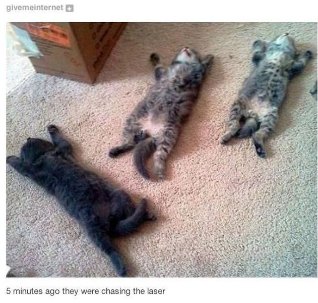 morning picdump 58 pics 5.html - 58 HD Photos | Premium Gallery 2014