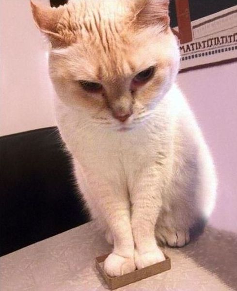 morning picdump 58 pics 5.html - 58 HD Photos | Premium Gallery 2014